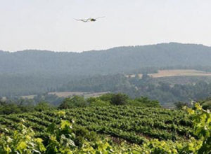 CATUAV explores the effects of a hailstorm over Artés vineyards