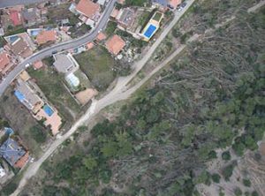 Catastrophic wind damage evaluation in Sant Boi de Llobregat