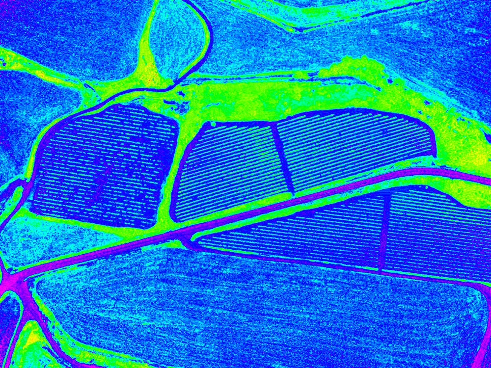 PRECISION AGRICULTURE: ABADAL - 2008